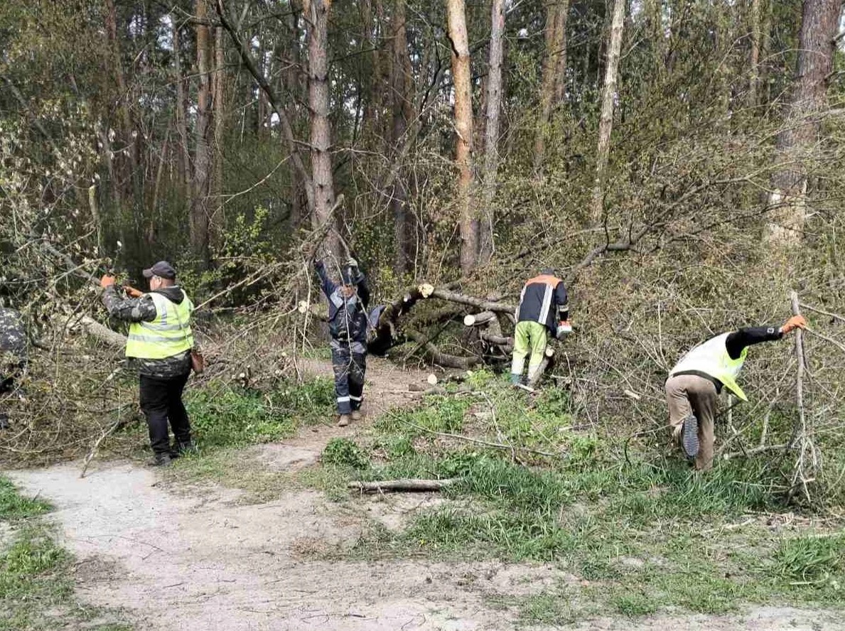 Білогородка показала, як справлятися з негодою