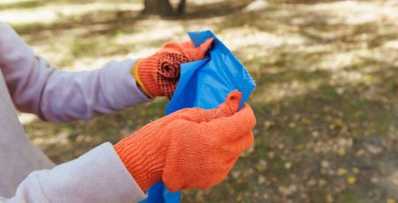 Весняна толока: У Києві головне прибирання відбудеться 18 квітня