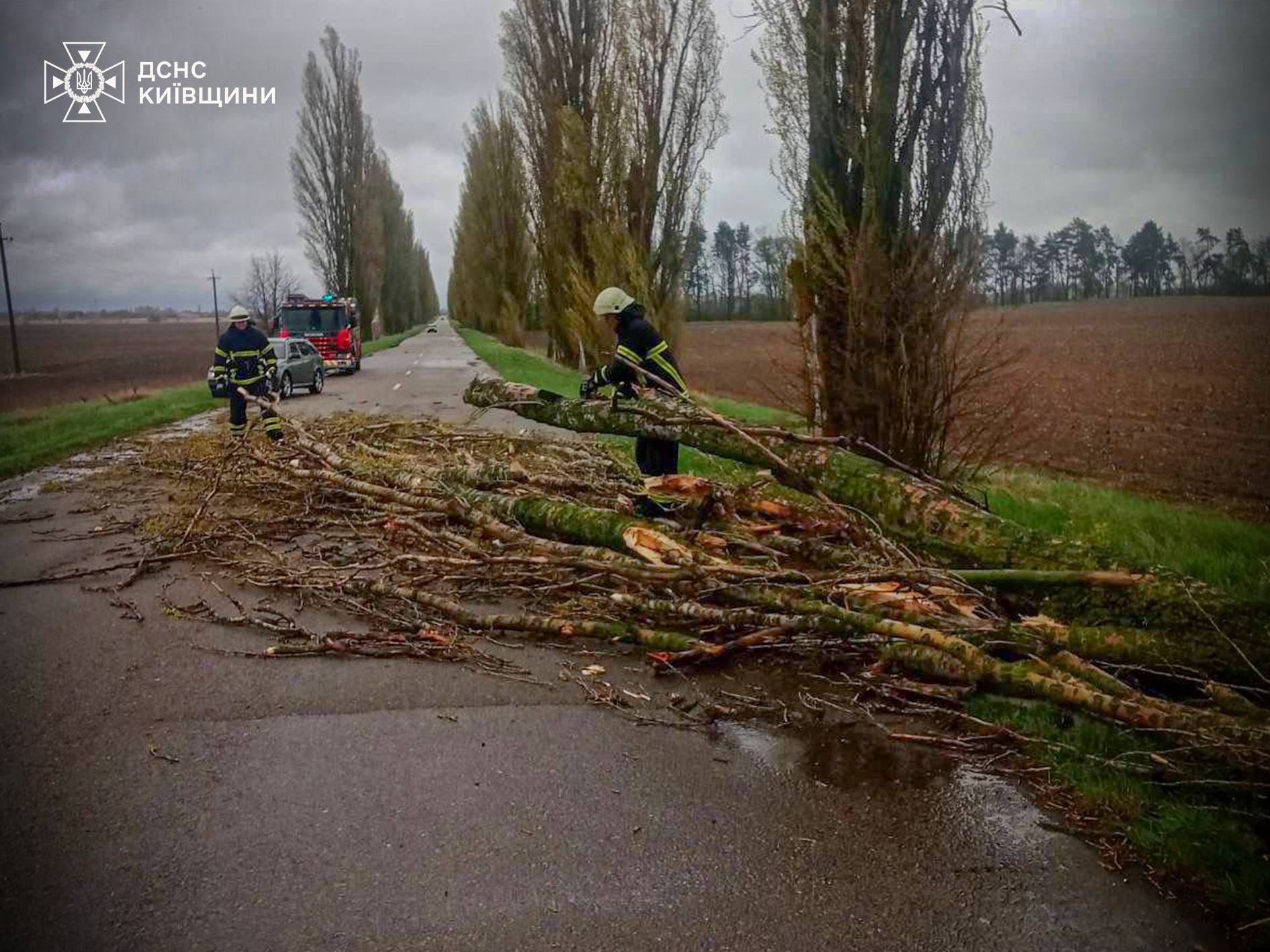 Негода у Києві та області: повалені дерева, обірвані лінії електропередач