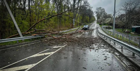 Негода у Києві та області: повалені дерева, обірвані лінії електропередач