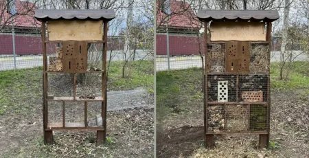 У Гореницькому ліцеї створили екопростір із будиночком для комах