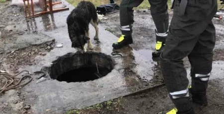 Рятувальники КАРС дістали людину з колодязя теплотраси в Оболонському районі