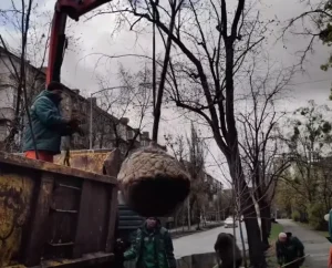 У Дніпровському районі комунальники висадили сріблясті клени (відео)