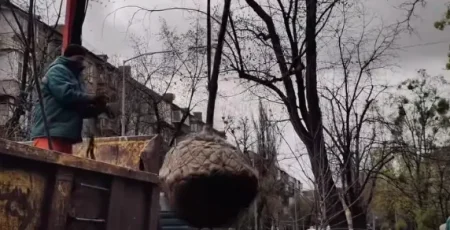 У Дніпровському районі комунальники висаджувати сріблясті клени (відео)
