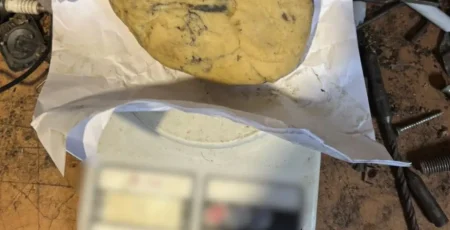 Мешканець Броварщині незаконно зберігав боєприпаси та пластид