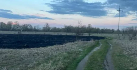 На Вишгородщині хлопець запустив феєрверк та підпалив сухостій - дебоширом займеться поліція