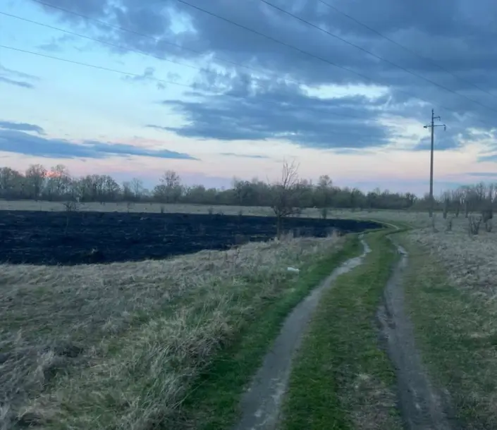 На Вишгородщині хлопець запустив феєрверк та підпалив сухостій - дебоширом займеться поліція