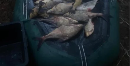 На Вишгородщині браконьєри виловили риби на 100 тис гривень
