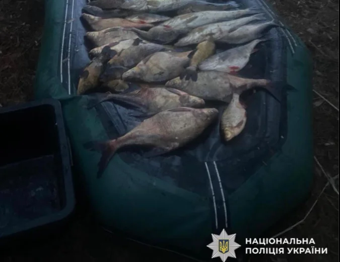 На Вишгородщині браконьєри виловили риби на 100 тис гривень