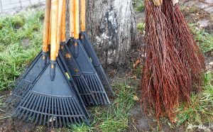 У столиці розпочався конкурс в межах весняного двомісячника з благоустрою