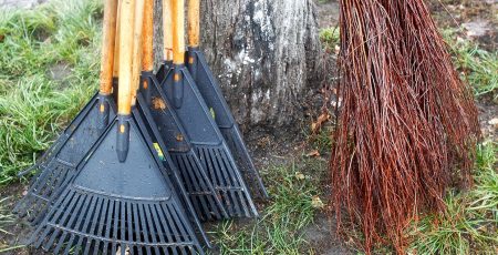 У столиці розпочався конкурс в межах весняного двомісячника з благоустрою