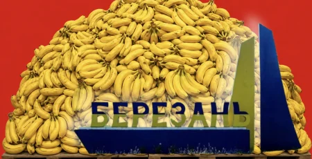 Місто Березань на Броварщині закупило понад тонну бананів