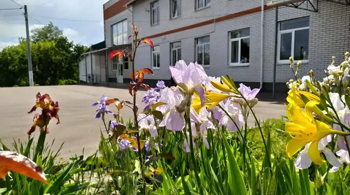 Обухів заплатить 34 млн гривень за першу чергу будівництва укриття в ліцеї №2