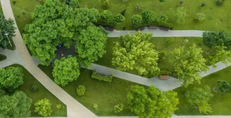 На утримання зелених зон Західної частини Білої Церкви витратять 1,2 млн гривень