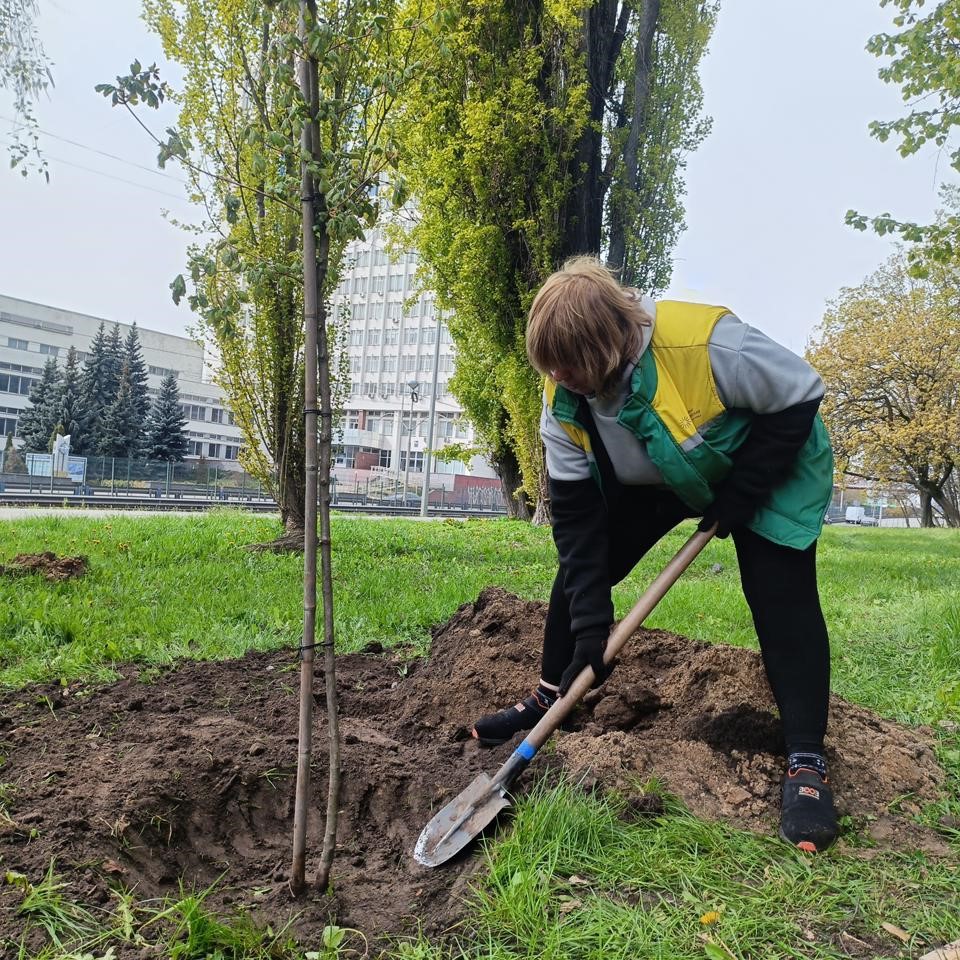 У столиці у межах акції «1 мільйон дерев життя» висадили 633 дерева