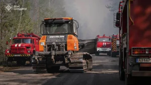 В Україні внаслідок пожеж в екосистемах вже вигоріло майже 2250 гектарів землі