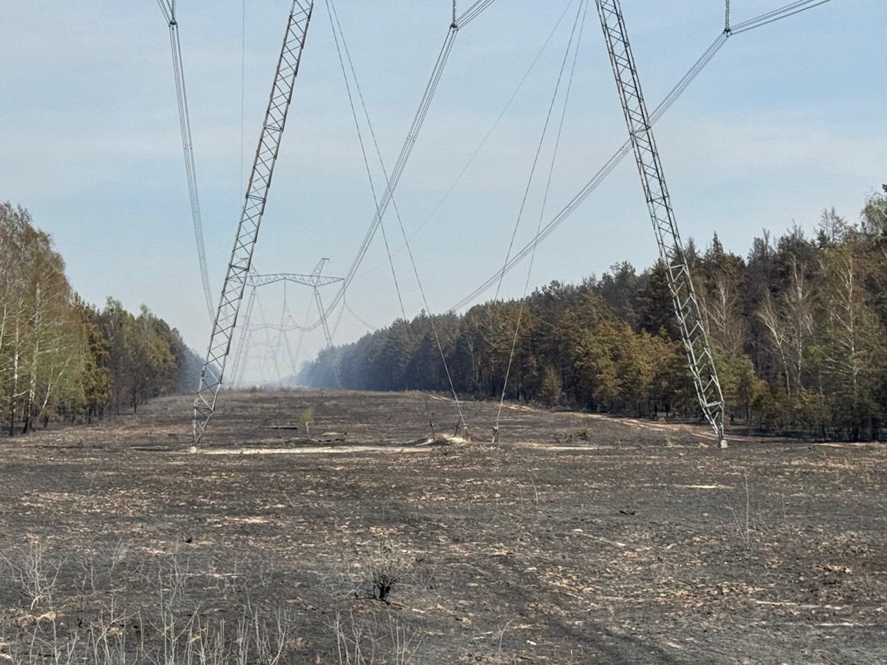 У Чорнобильській зоні триває ліквідація пожежі, вогонь пройшов близько 1200 га (фото)