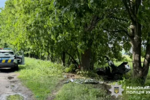 На Білоцерківщині внаслідок зіткнення автомобіля з деревом загинули двоє дітей