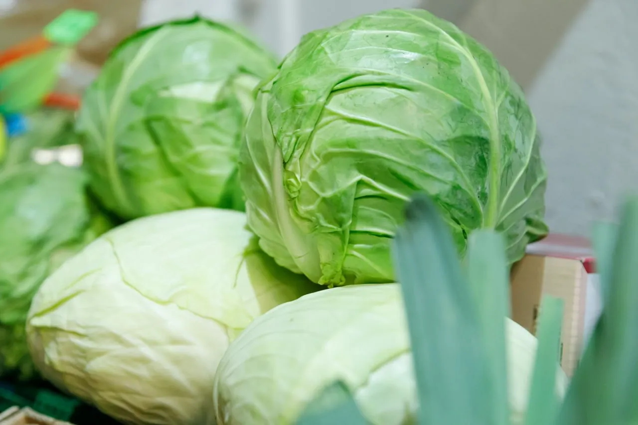 У Києві відбудуться традиційні продуктові сільськогосподарські ярмарки (локації)