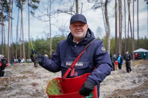 У Бучі зчинився скандал через масове зрізання дерев на вулиці Енергетиків