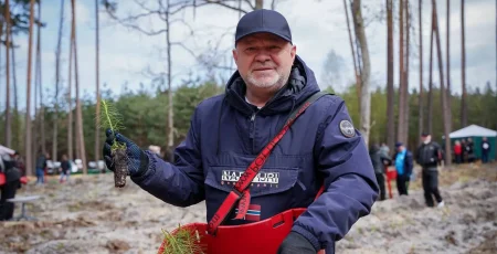 У Бучі зчинився скандал через масове зрізання дерев на вулиці Енергетиків