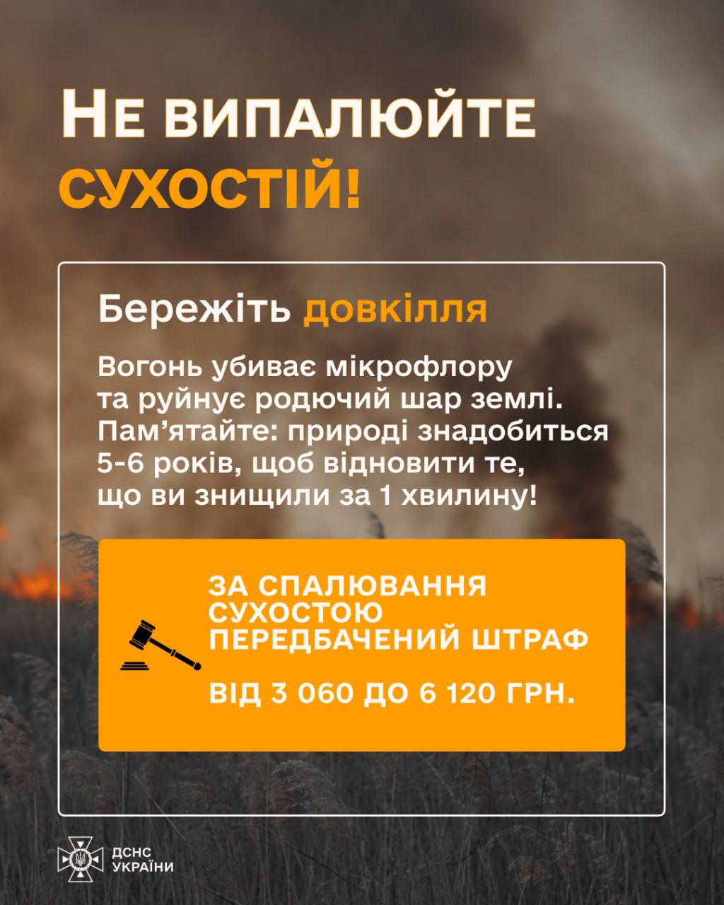В Україні внаслідок пожеж в екосистемах вже вигоріло майже 2250 гектарів землі В Україні внаслідок пожеж в екосистемах вже вигоріло майже 2250 гектарів землі
