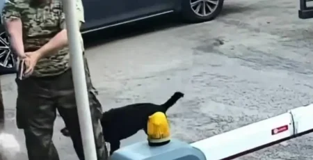 Поліція розслідує обставини озброєного конфлікту у Соломʼянському районі столиці