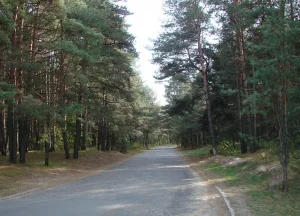 Побудову мережі ліхтарів за 25 млн гривень на Трухановому острові відклали