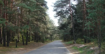 Побудову мережі ліхтарів за 25 млн гривень на Трухановому острові відклали