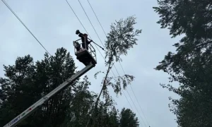 Через наслідки негоди на Київщині без електропостачання залишаються понад 18 тисяч родин