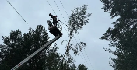 Через наслідки негоди на Київщині без електропостачання залишаються понад 18 тисяч родин