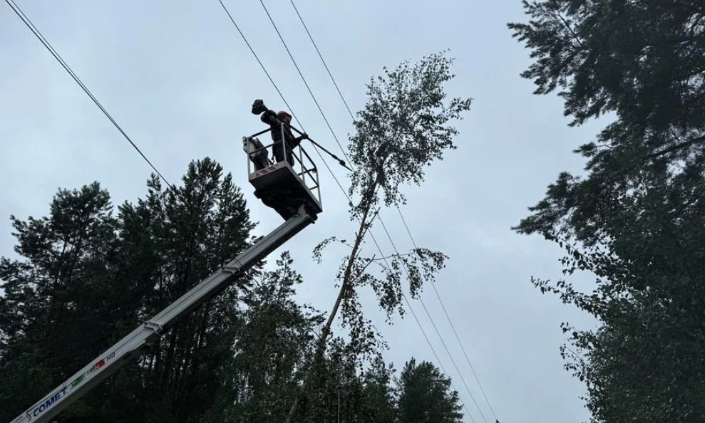 Через наслідки негоди на Київщині без електропостачання залишаються понад 18 тисяч родин