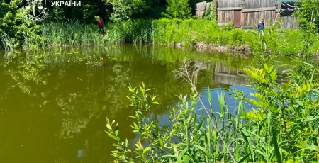 Мешканець столиці самовільно приєднав до своєї ділянки частину парку «Сирецький гай»