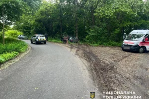 На Вишгородщині через п’яного водія у ДТП загинув пасажир