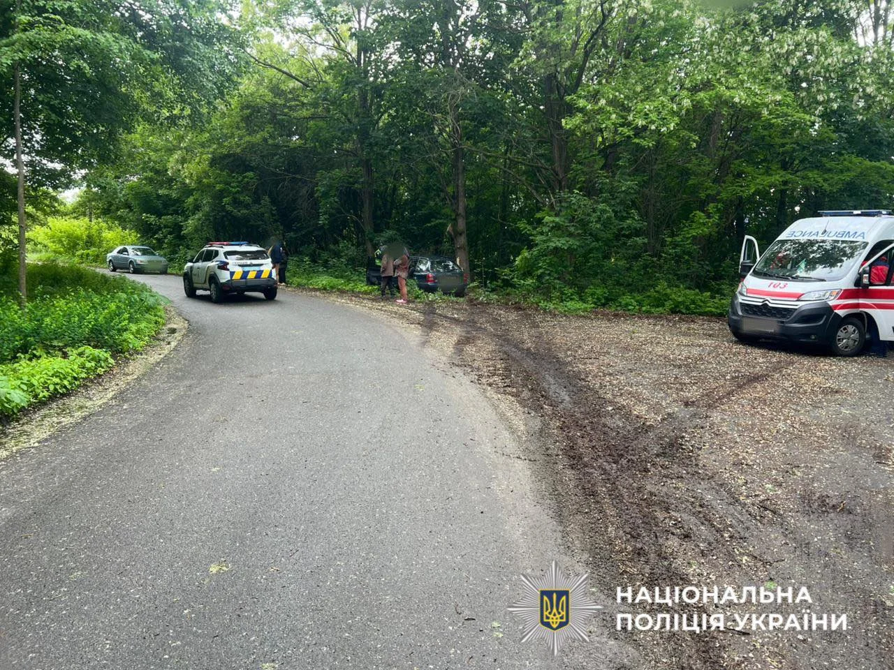 На Вишгородщині через п’яного водія у ДТП загинув пасажир