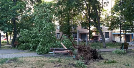 Столичні комунальники ліквідують наслідки негоди (фото)