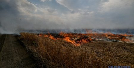 Збитки довкіллю України від російської агресії перевищили 7 трильйонів гривень