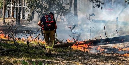 Лісна пожежа у Чорнобильській зоні: Радіація в нормі - ДСНС