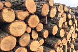 Вишневе витратить 31,7 млн гривень на дрова