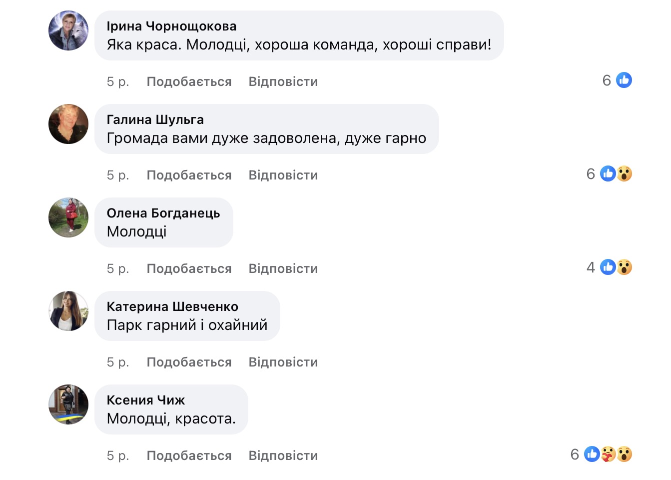 Розкол у Рославичах: мільйонний тендер на благоустрій спровокував скандал із місцевими жителями