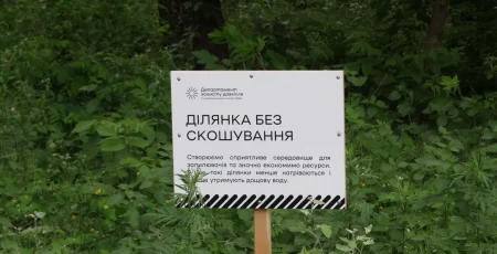 У Києві збільшили площу зелених зон із обмеженим скошуванням трави