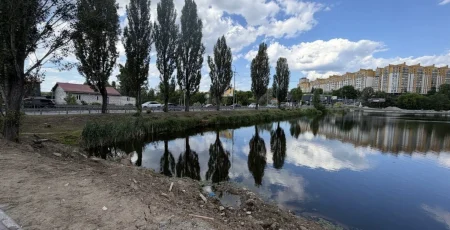 Компанія громадянина Вірменії укріпить берег і пірс у Петропавлівській Борщагівці за 3,6 млн гривень
