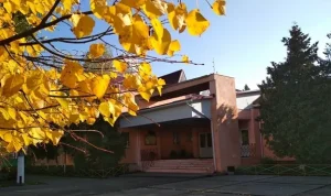 Коридори ліцею у Вишгороді відремонтують за 2,7 млн гривень