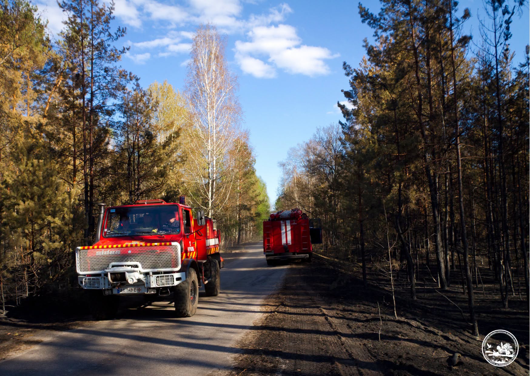 Пожежа в зоні ЧАЕС вщухла (фото)