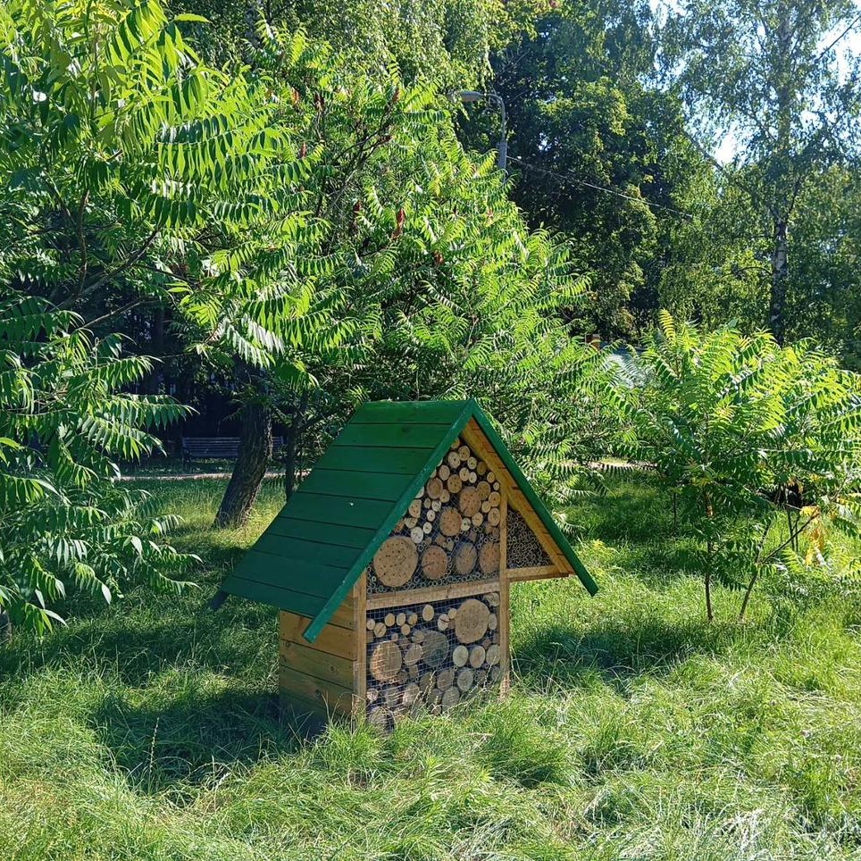 У Києві продовжують облаштовувати будиночки для комах У Києві продовжують облаштовувати будиночки для комах