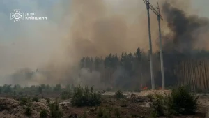 У Чорнобильській зоні ліквідували пожежу на 130 га, роботи тривають ще на трьох осередках