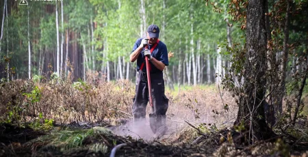 У Чорнобильській зоні відчуження ліквідували пожежу (фото, відео)