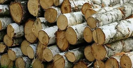 Для шкіл і садочків Зугрівки за 1 млн гривень куплять дрова