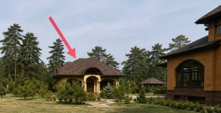 Самочинка: Киянин звів будинок на ділянці лісового фонду, але марно: знесуть