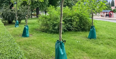 У Києві за пів року встановили понад 6 тисяч мішків для повільного поливу дерев